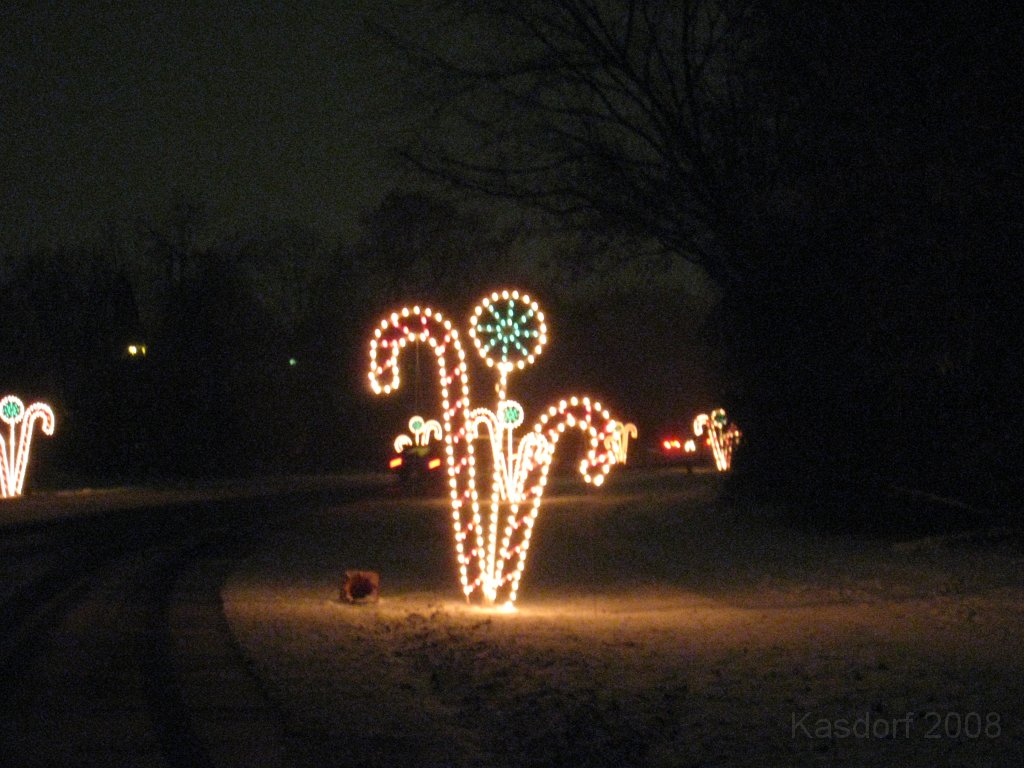 Christmas Lights Hines Drive 2008 078.jpg - The 2008 Wayne County Hines Drive Christmas Light Display. 4.5 miles of Christmas Light Displays and lots of animation!